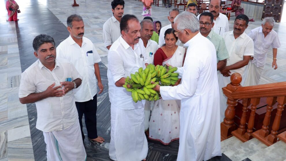 പതിവ് തെറ്റിക്കാതെ ഇത്തവണയും പൂവൻകുല സമർപ്പണം കൊരട്ടി മുത്തിയുടെ സവിധത്തിൽ ഈ വർഷവും മുടങ്ങാതെ.